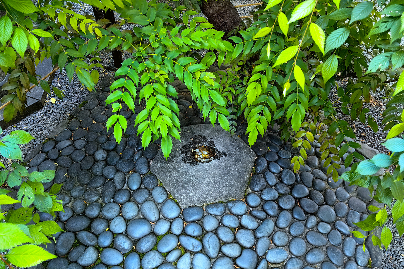 西國三十三所-紫雲山頂法寺(六角堂 )